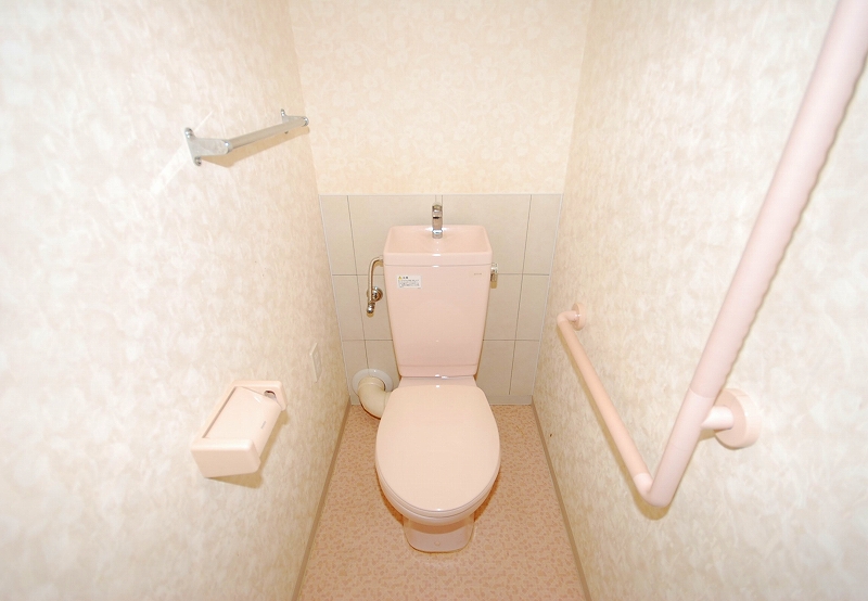 Toilet. Toilet