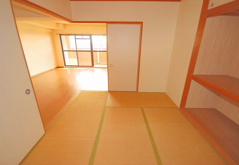 Other room space. Japanese style room