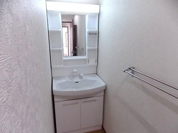 Wash basin, toilet. Storage space with plenty of vanity