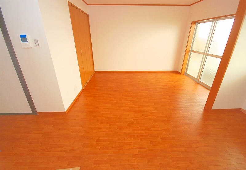 Living and room. Living