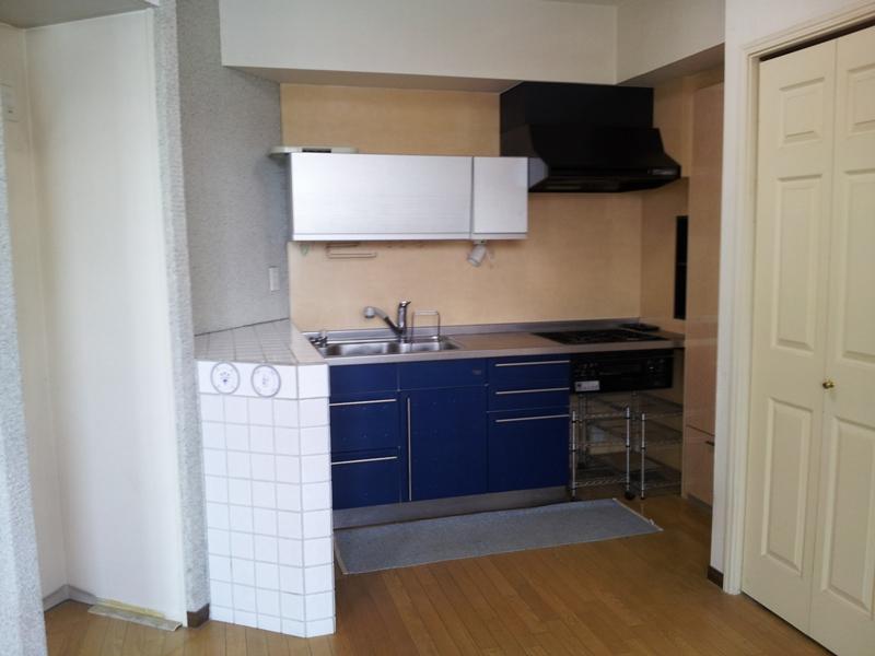 Kitchen. Local (January 2012) shooting