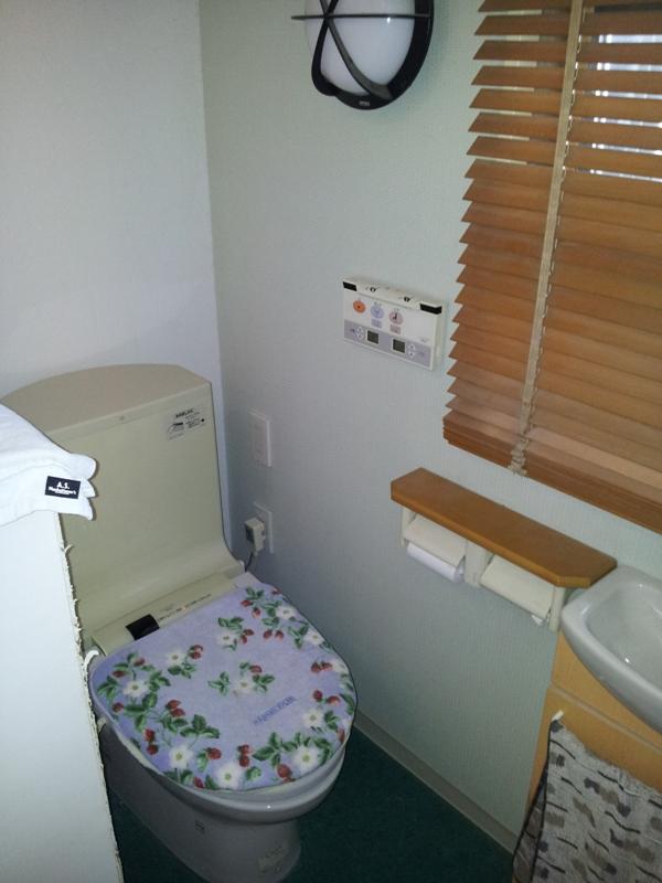 Toilet. Local (January 2012) shooting