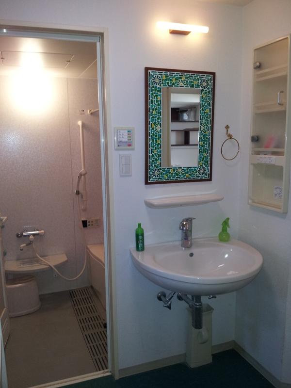 Wash basin, toilet. Local (January 2012) shooting