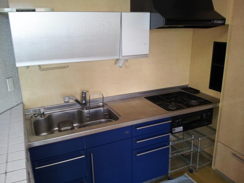 Kitchen. Local (January 2012) shooting