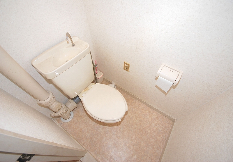 Toilet. Toilet