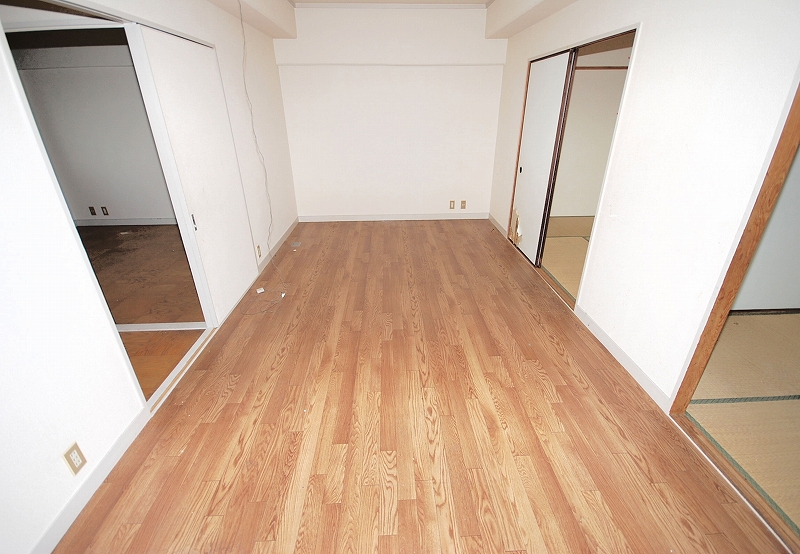 Living and room. Living