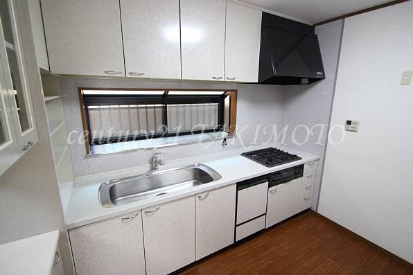 Kitchen. System kitchen of built-in dishwasher with!