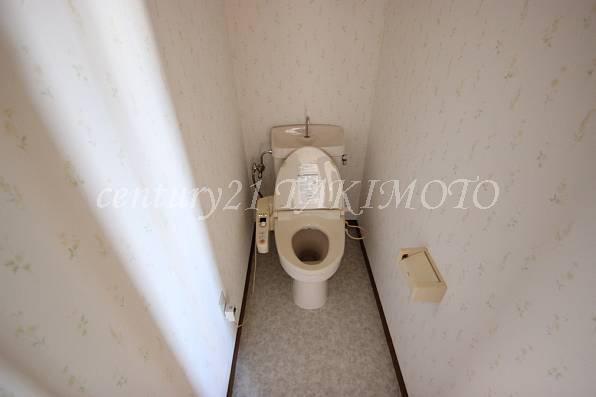 Other introspection. Bidet function with toilet