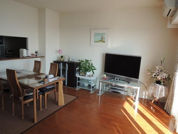 Living. Light from a bright south-facing. During the day the electrical No need.