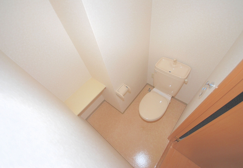 Toilet. Toilet