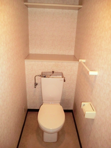 Toilet. Amenities α Museum