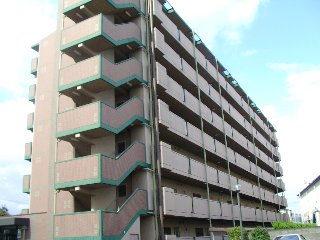 Building appearance. Amenities α Museum