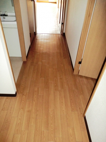 Other. Amenities α Museum Corridor
