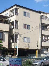 Building appearance