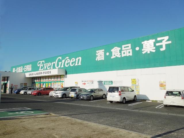 Drug store. 310m to Eva Green Sayama shop