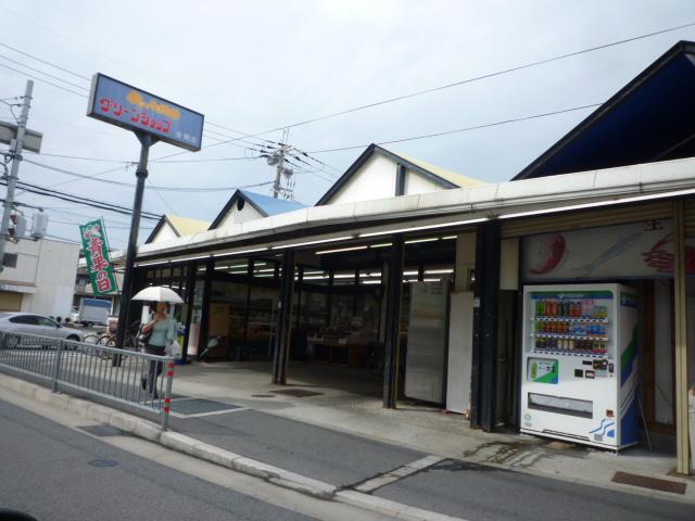 Supermarket. 650m to the green shop Kongo store (Super)