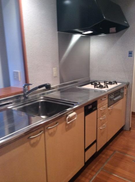 Kitchen. Indoor (12 May 2013) Shooting