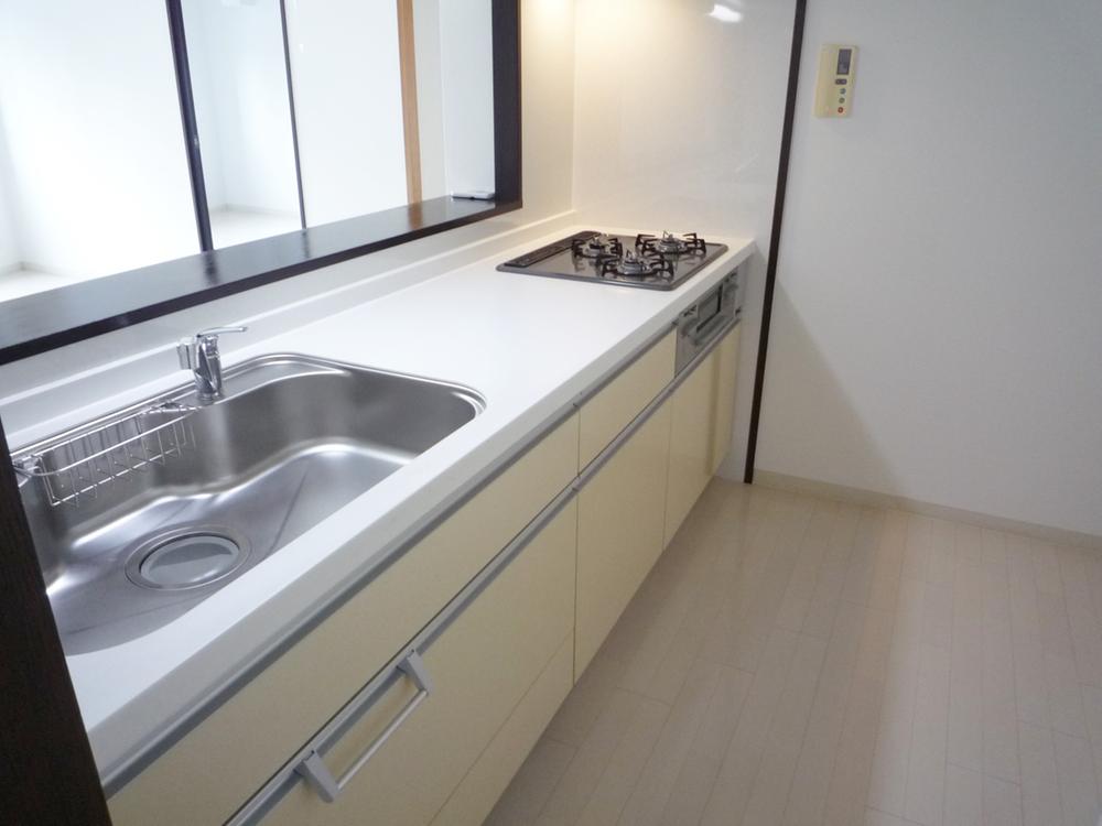 Kitchen. Popularity of the system counter kitchen