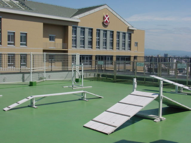 Other Equipment. Rooftop pet playground
