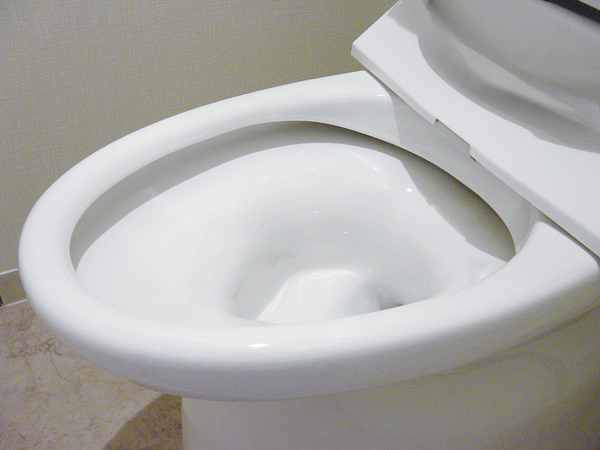Toilet.  [Dirt cut shape toilet] Toilet bowl of the border is shallow, A smooth shape, Simplicity of the dirt quickly wiped clean is attractive (same specifications)