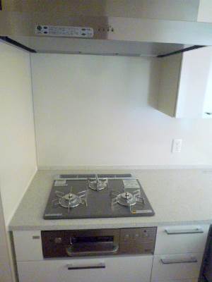 Kitchen. Gas stove 3-neck