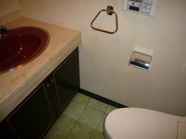 Toilet. Toilet with hand washing counter
