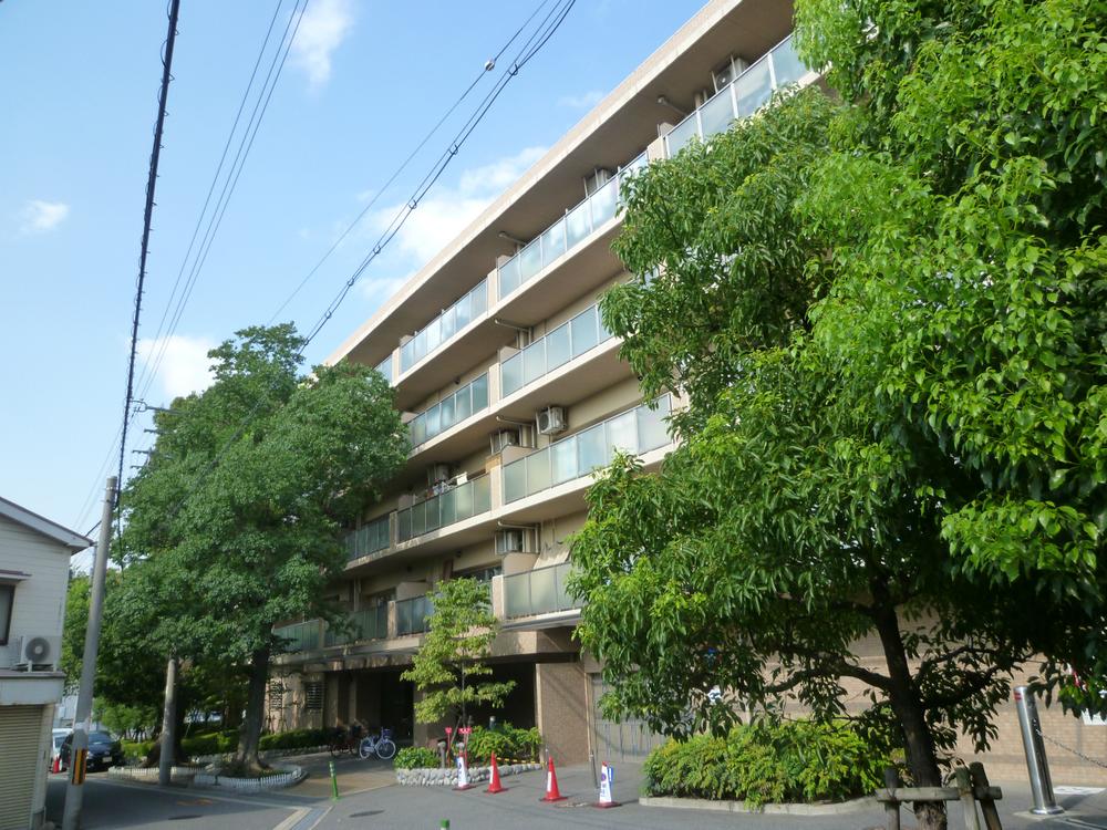 Local appearance photo. Local (July 2013) Shooting