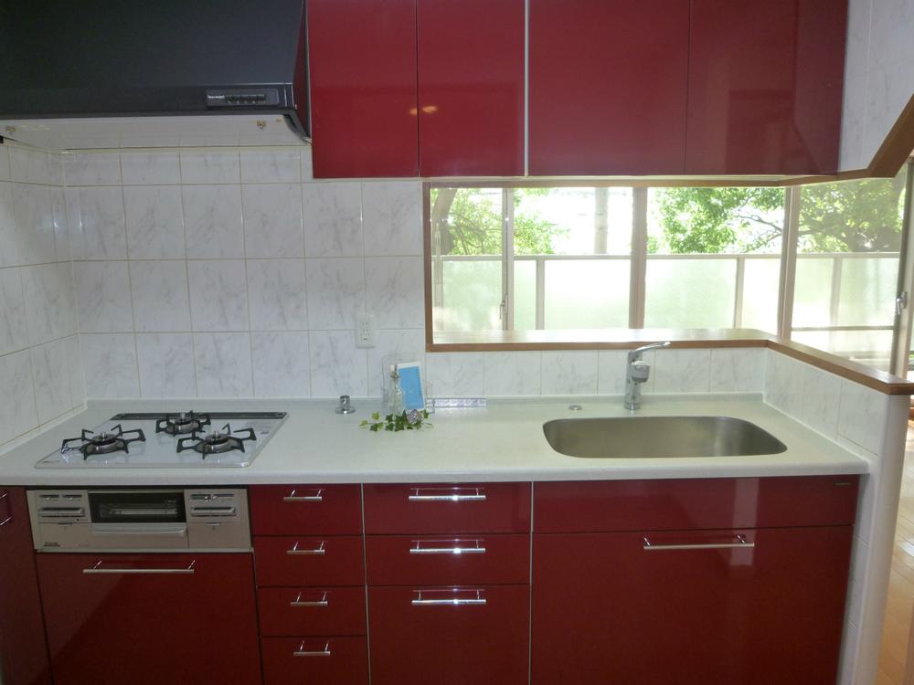 Kitchen. Local (July 2013) Shooting