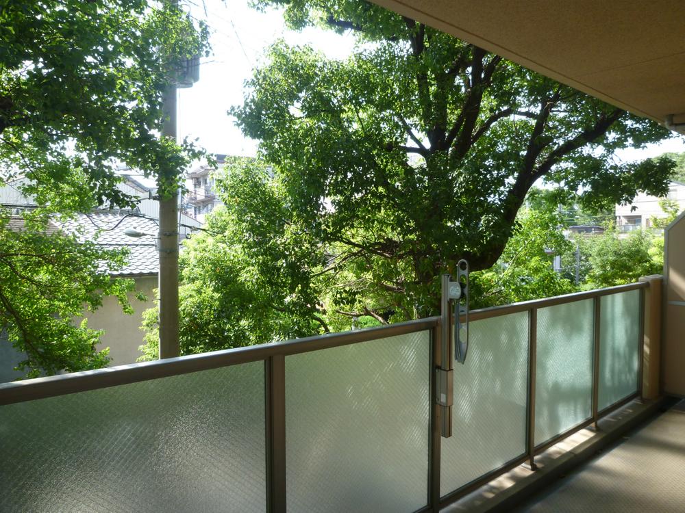 Balcony. Local (July 2013) Shooting