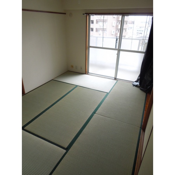 Other room space. Japanese style room