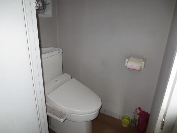 Toilet. First floor toilet. It will be transmitted that had gotten use it to clean