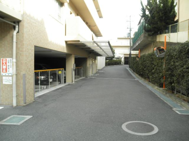 Parking lot. Common areas