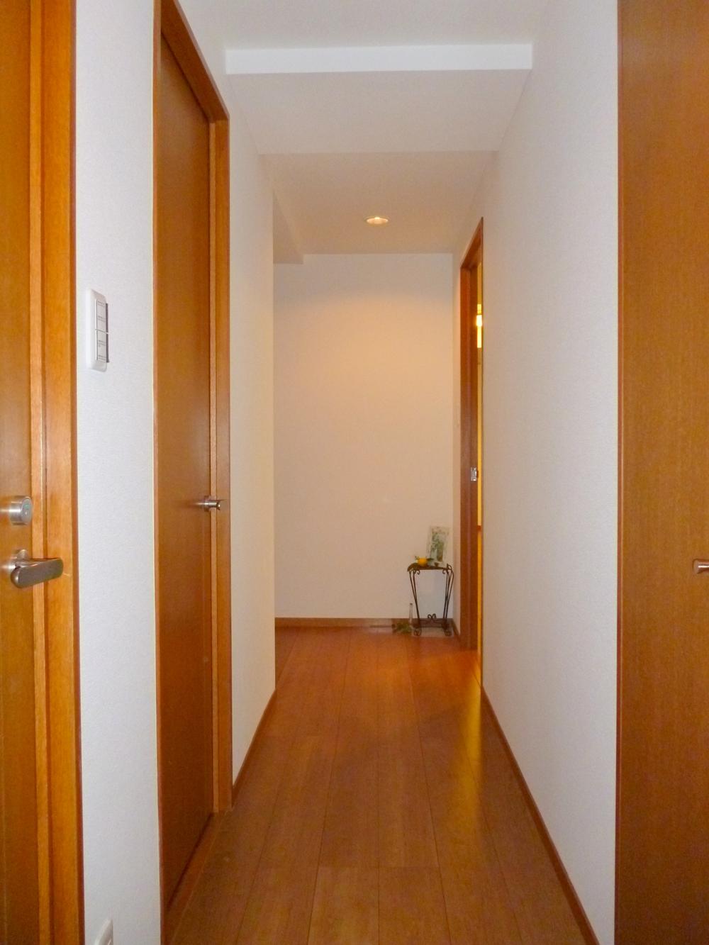 Other introspection. Corridor!