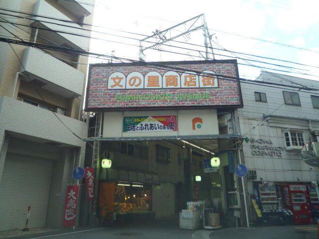 Other. Fuminosato Station shopping center