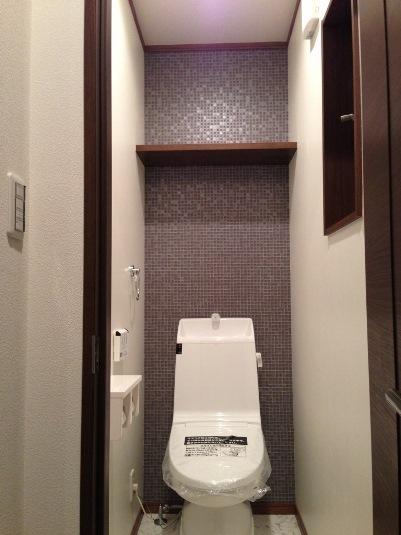 Toilet. The company example of construction (free to choose)