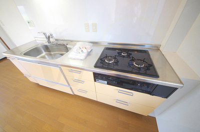 Kitchen. 3-neck of a gas stove equipped