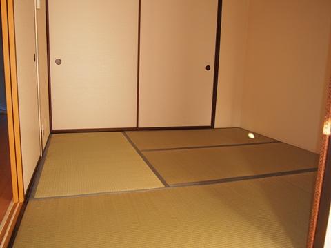 Non-living room. Japanese-style room (1)