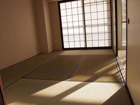 Non-living room. Japanese-style room (2)