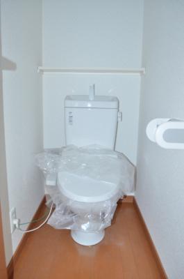 Toilet. Indoor (12 May 2013) Shooting