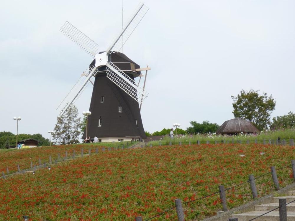 Other. Lot bloom windmill in spring flowers.