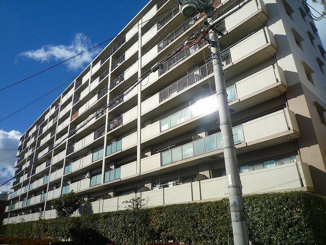 Local appearance photo. Local (11 May 2013) Shooting