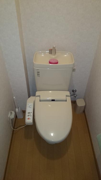 Toilet. Warm water wash with toilet seat