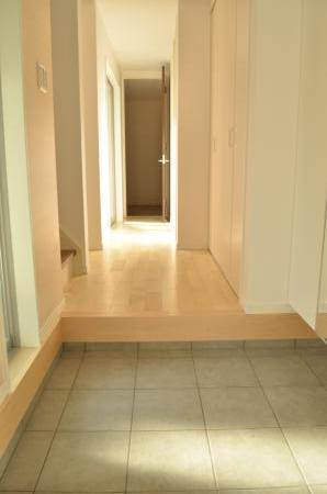 Entrance. It devised a spacious foyer incorporating the lighting