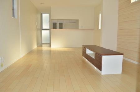 Same specifications photos (living)