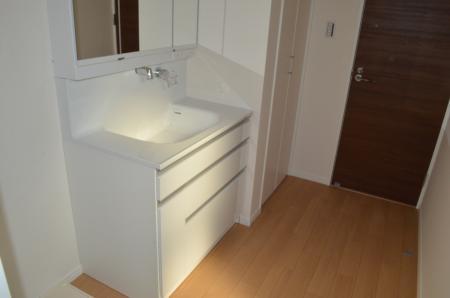Wash basin, toilet. Plenty of storage cabinets!