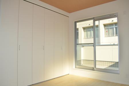 Other. Open enough feeling in the CL door that is up to the ceiling!