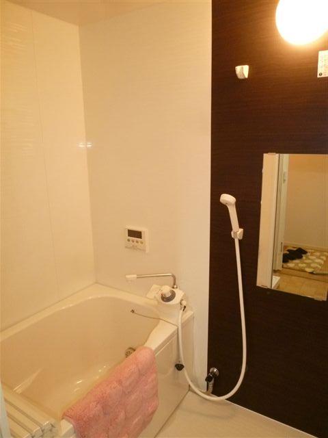 Bathroom. Indoor (10 May 2013) Shooting