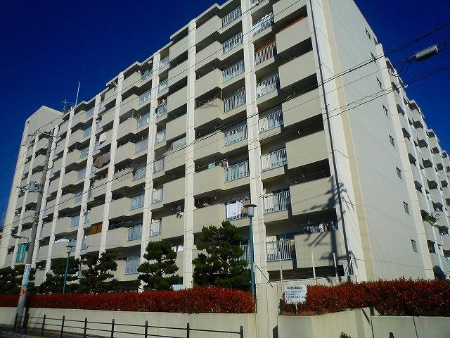 Local appearance photo. Local (12 May 2013) shooting is very calm appearance of feeling