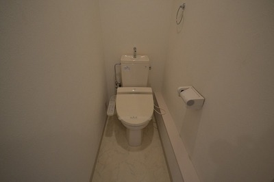 Toilet. Toilet