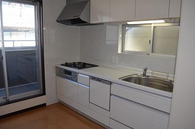 Kitchen. Indoor (10 May 2012) shooting